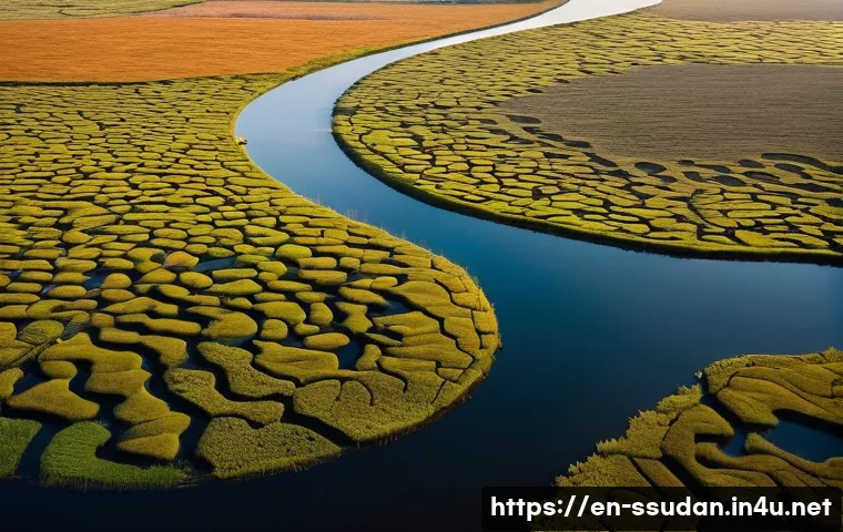 남수단에서 여행 사진 촬영 포인트 - **"A breathtaking aerial view of The Sudd wetland in South Sudan at dawn. The scene captures a mysti...