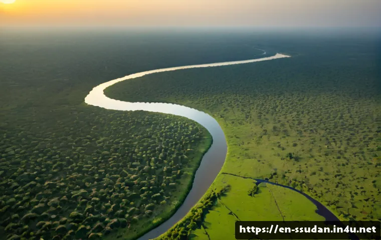 남수단 부족 분포 - Photorealistic editorial aerial view of South Sudan’s vast landscape, the White Nile winding through...